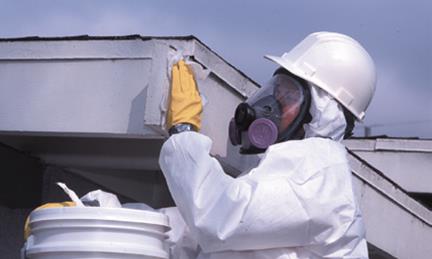 Los Angeles Asbestos, Lead Abatement, Mold Remediation, Air Duct Cleaning, Bed Bugs Removal Services